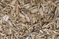 biomass boilers Medlicott